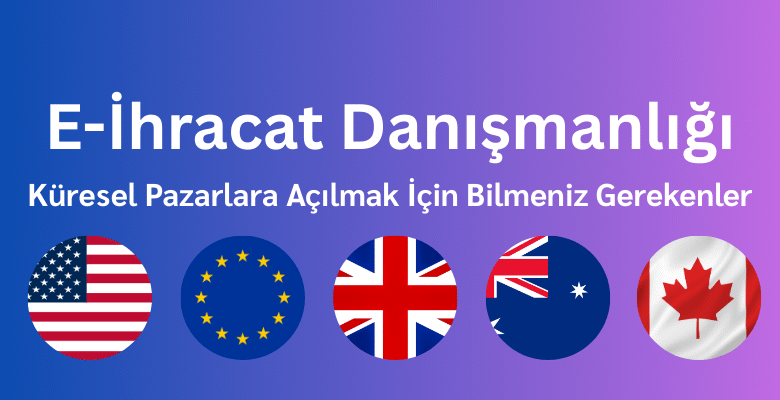 e-ihracat danışmanlığı