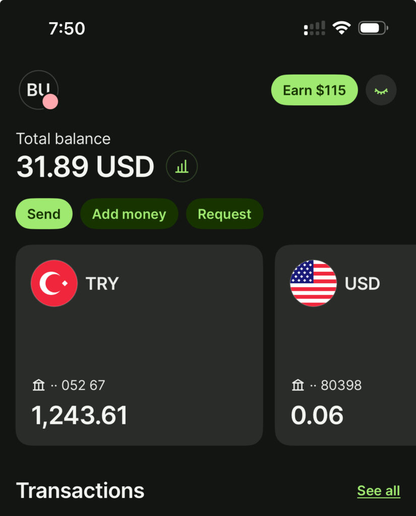 wise banka hesabı