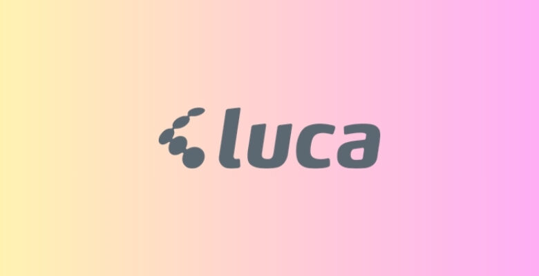 luca muhasebe yazılımı