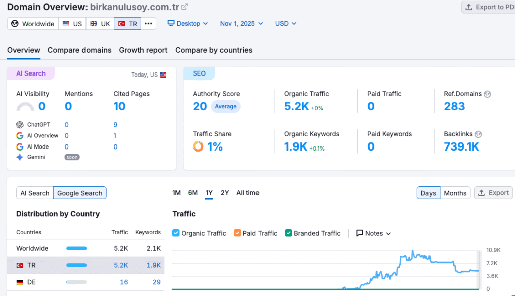 semrush raporu