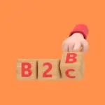 B2B Shopify Website