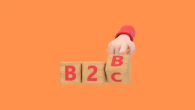 B2B Shopify Website